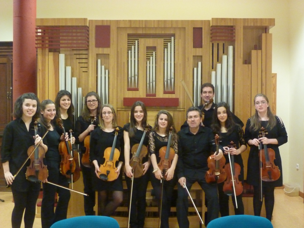 Ensemble Violas 12-13